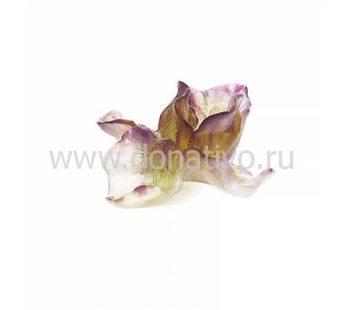 Ваза для цветов "Jungle" Daum 05456-1