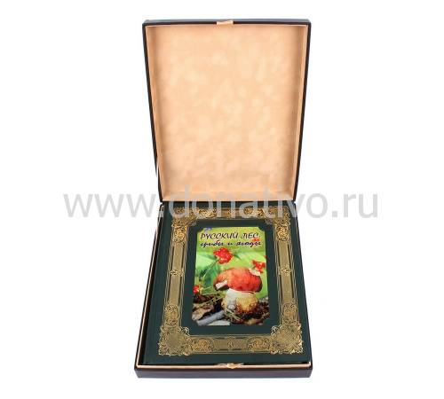 Книга Русский лес. Грибы и ягоды BG8791K