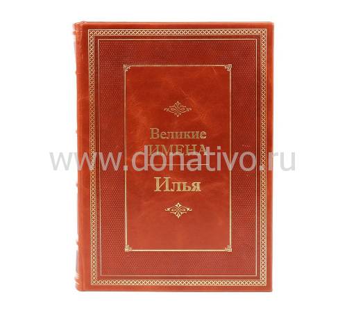 Книга Илья (Великие имена) BG8228M