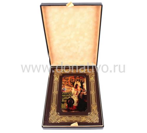 Книга Домострой. Древнерусская энциклопедия  BG8273K