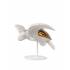 Статуэтка "Морская черепаха I" Lladro 01009598