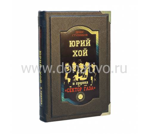 Книга Юрий Хой и группа "Сектор Газа" BG0944M