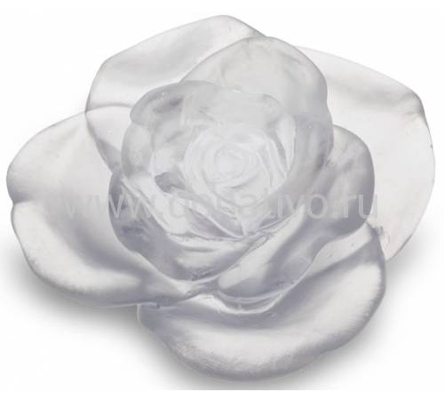 Цветок розы "Rose Passion" белый Daum 05290