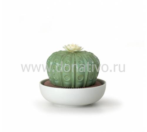 Декоративный цветок "Кактус с белым цветком" Lladro 01040185
