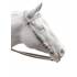 Статуэтка лошадь "Белый скакун" Lladro 01009273