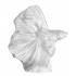 Статуэтка прозрачная "Бойцовая рыбка" Lalique 10685200