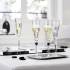 Набор из 2-х фужеров для шампанского Eve Harcourt с черным Baccarat 2814042